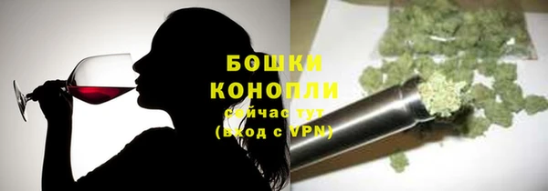 ГАЛЛЮЦИНОГЕННЫЕ ГРИБЫ Балахна