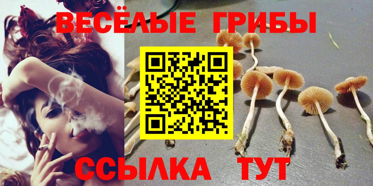 Галлюциногенные грибы Cubensis  Вход с VPN  Псилоцибиновые грибы Psilocybine cubensis  Горячий Ключ 