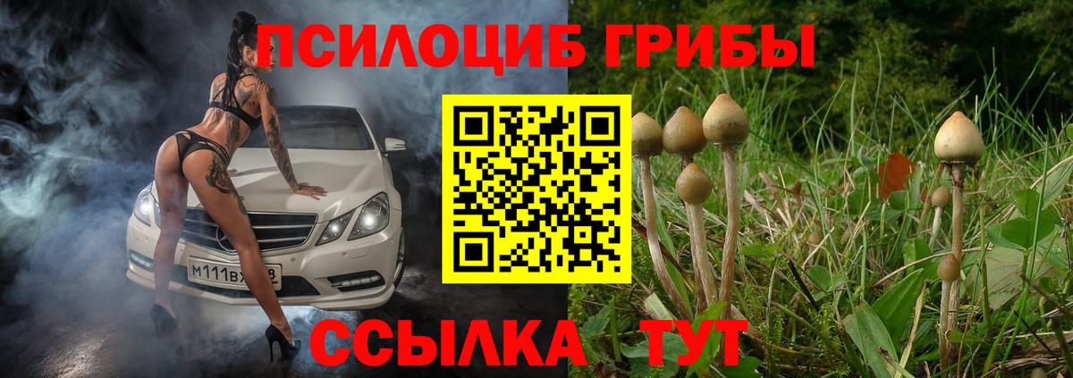 Галлюциногенные грибы GOLDEN TEACHER Горячий Ключ